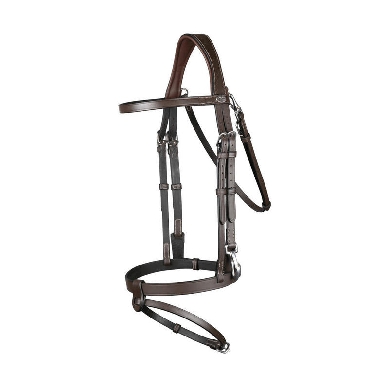 Briglia snaffle in pelle piatta con moschettoni Dy’on