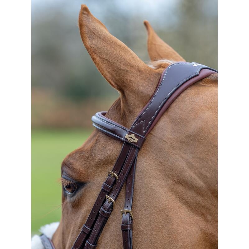 Bridon équitation pour cheval muserolle croisée LeMieux Grackle Havana