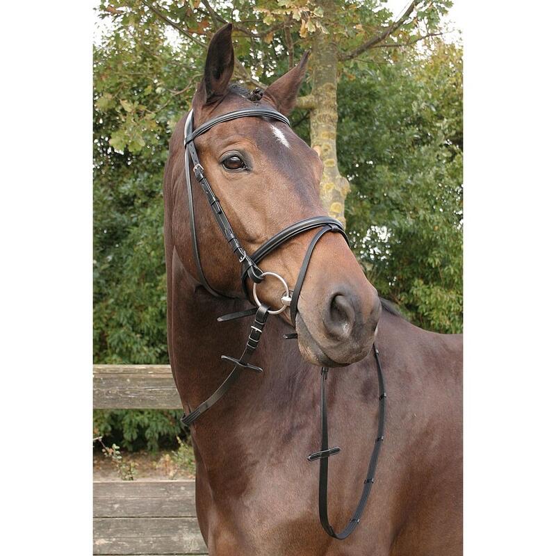 Gecombineerd hoofdstel met neusriem Harry's Horse Bronze