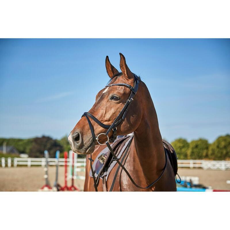 Bridons équitation Catago Sienna jumping