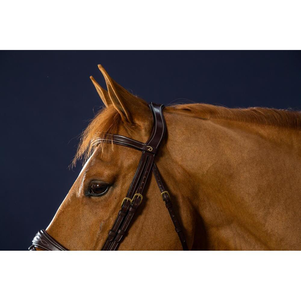 Bridon équitation muserolle combinée anatomique Dy'on 3/3