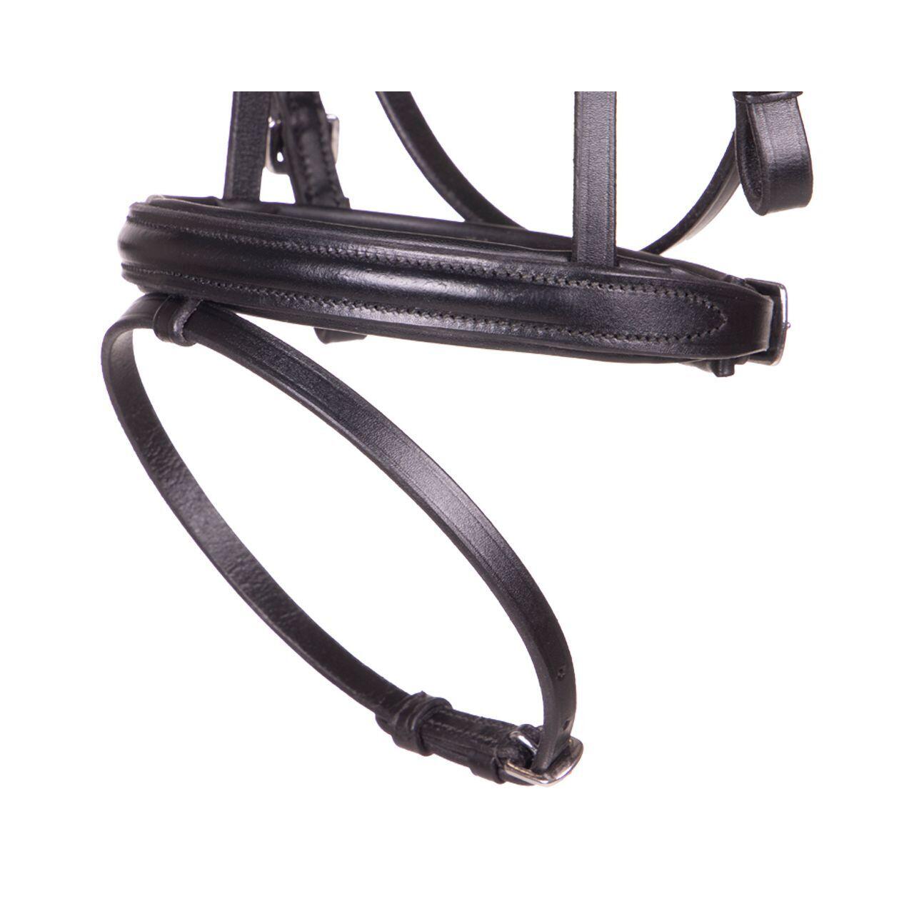 English-combined riding halter QHP Beli