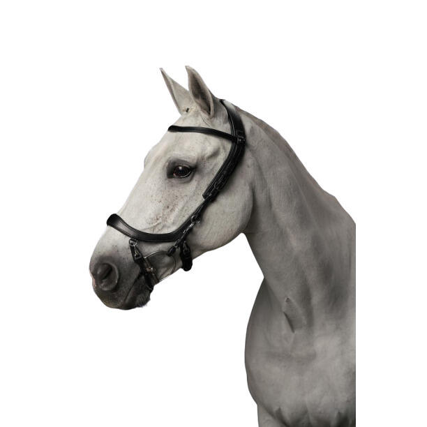 PRESTEQ Zaumzeug Reiten Presteq Faysport