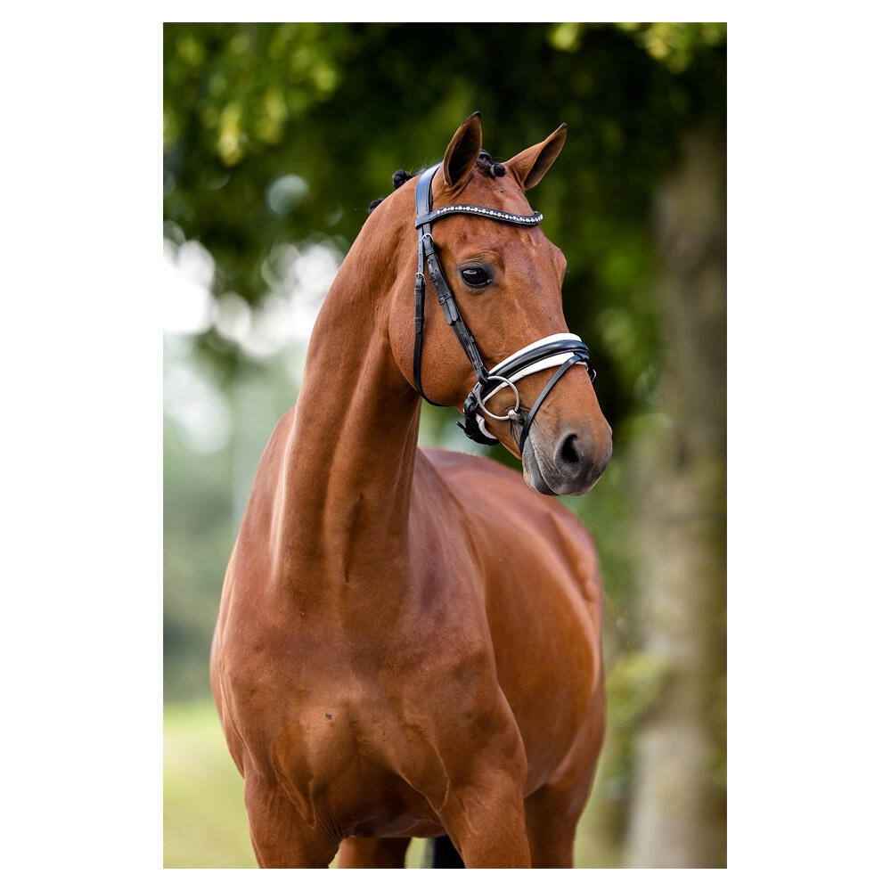 Briglie anatomiche per l'equitazione BR Equitation Lynton 3/3
