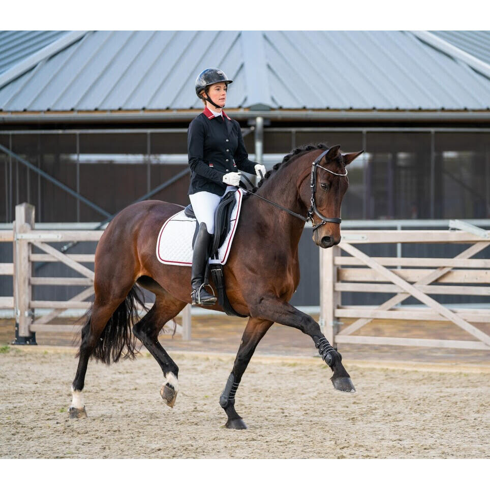 Zaumzeug Reiten Presteq Faysport 3/7