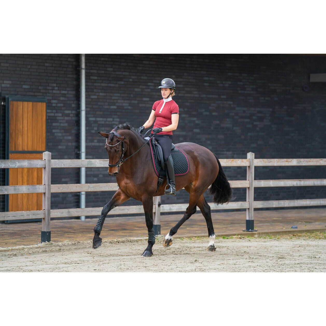 Zaumzeug Reiten Presteq Faysport 4/7