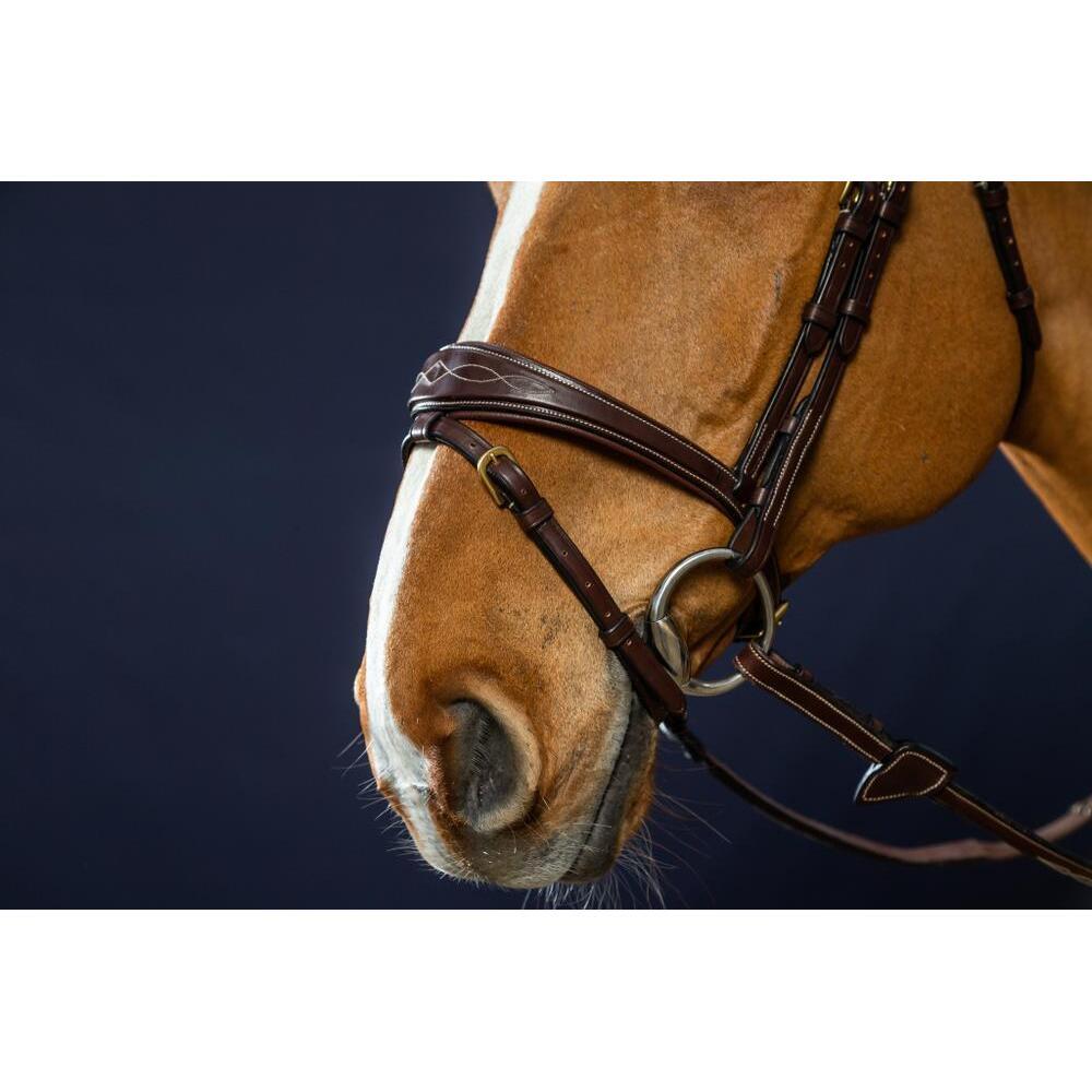 Bridon équitation muserolle combinée anatomique Dy'on 2/3