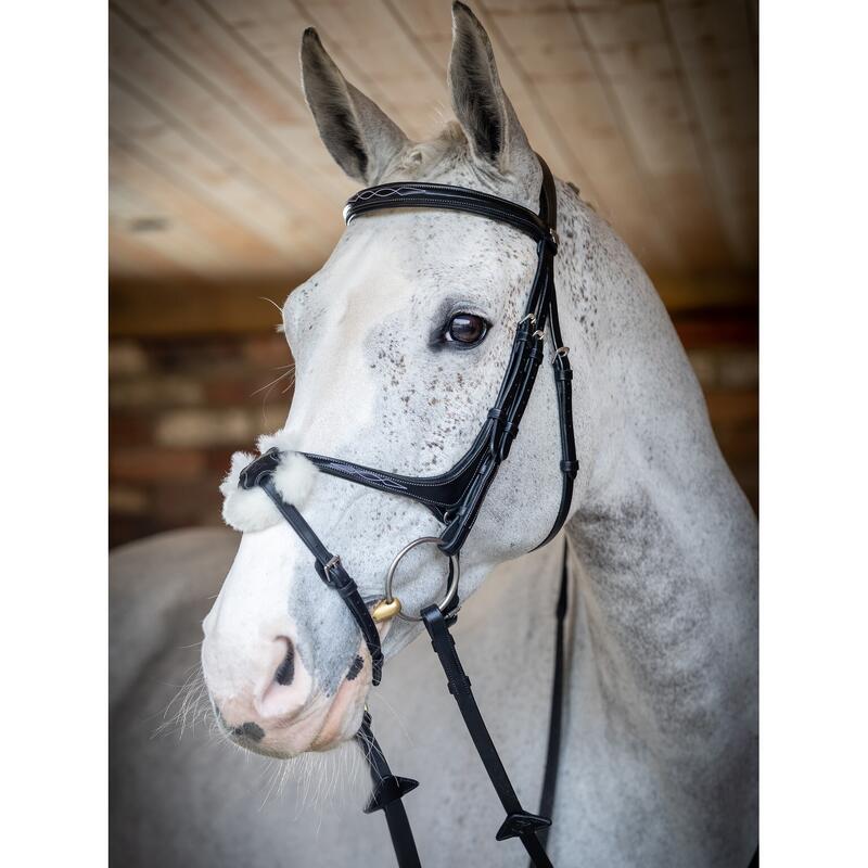 Bridon équitation pour cheval muserolle croisée LeMieux Grackle