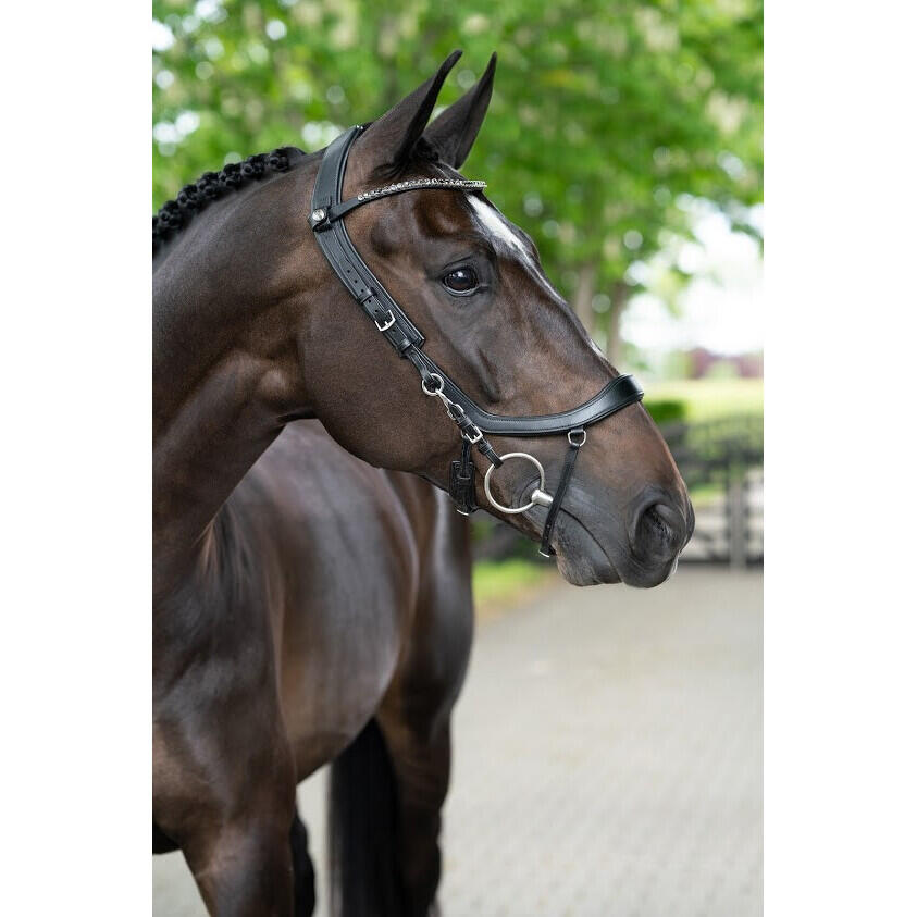 Zaumzeug Reiten Presteq Faysport 6/7