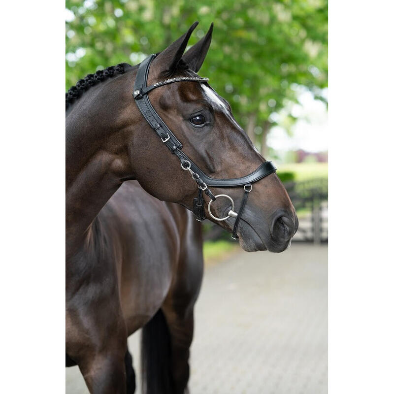 Zaumzeug Reiten Presteq Faysport