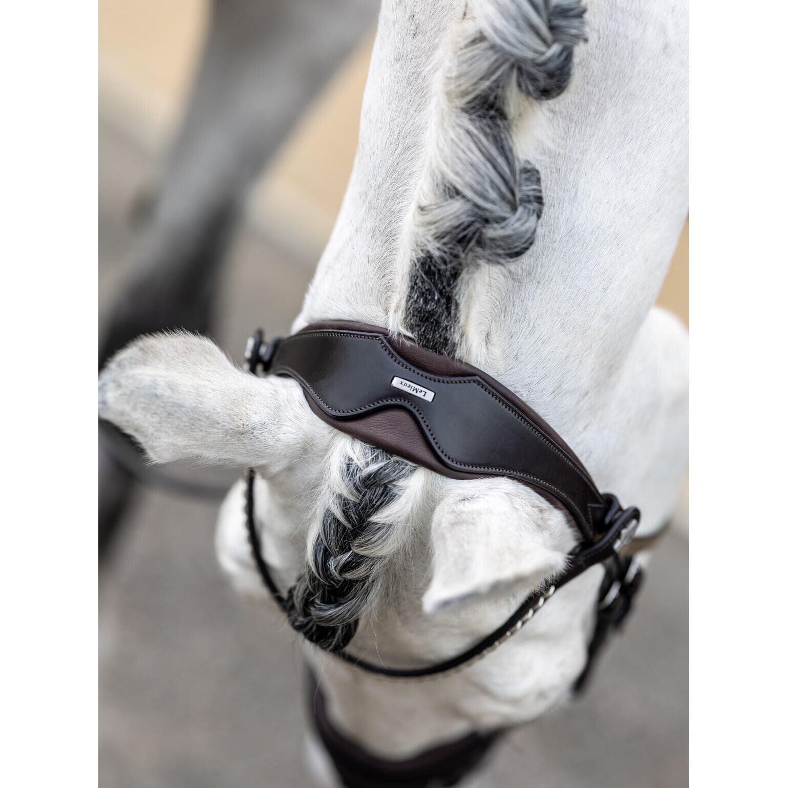 Horse riding bridle LeMieux Classic