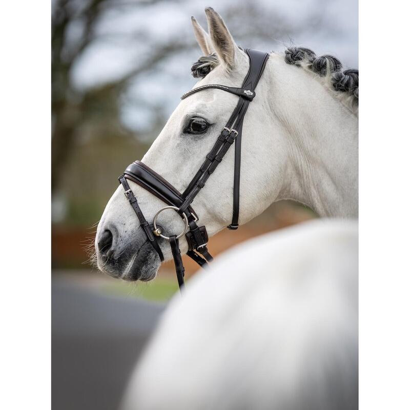 Bridon équitation pour cheval LeMieux Classic