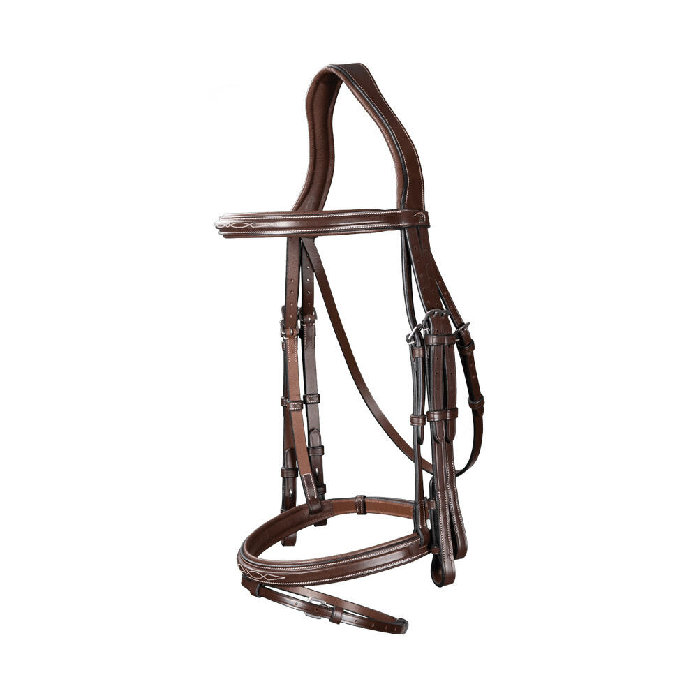Combined riding bridle and noseband Dy'on