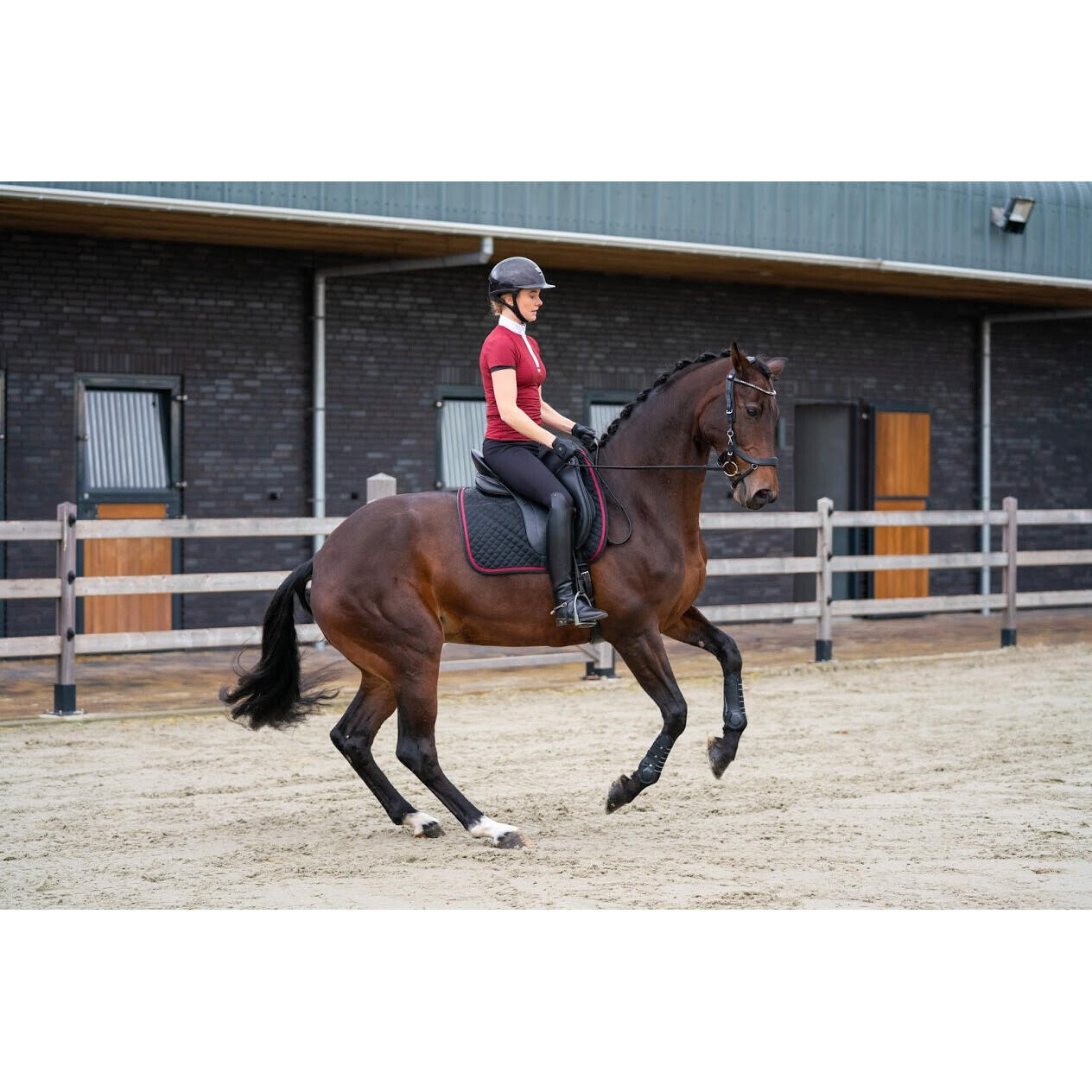 Zaumzeug Reiten Presteq Faysport 5/7