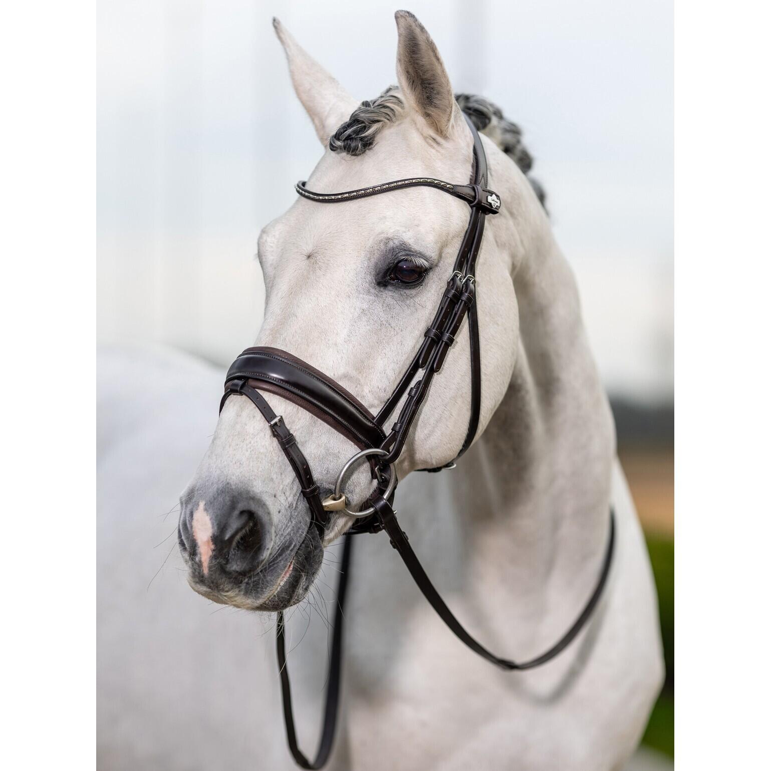 Horse riding bridle LeMieux Classic