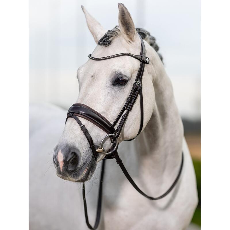 Bridon équitation pour cheval LeMieux Classic