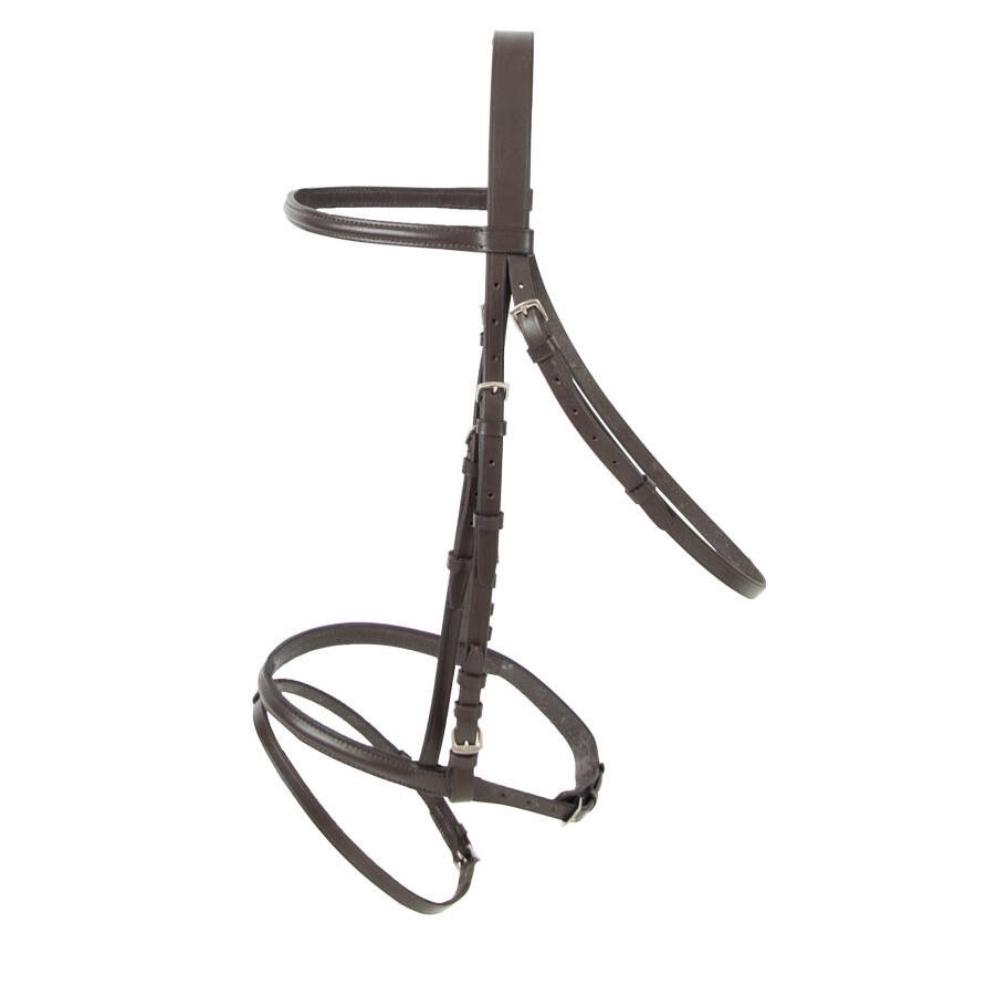 Bridles T de T Bellini