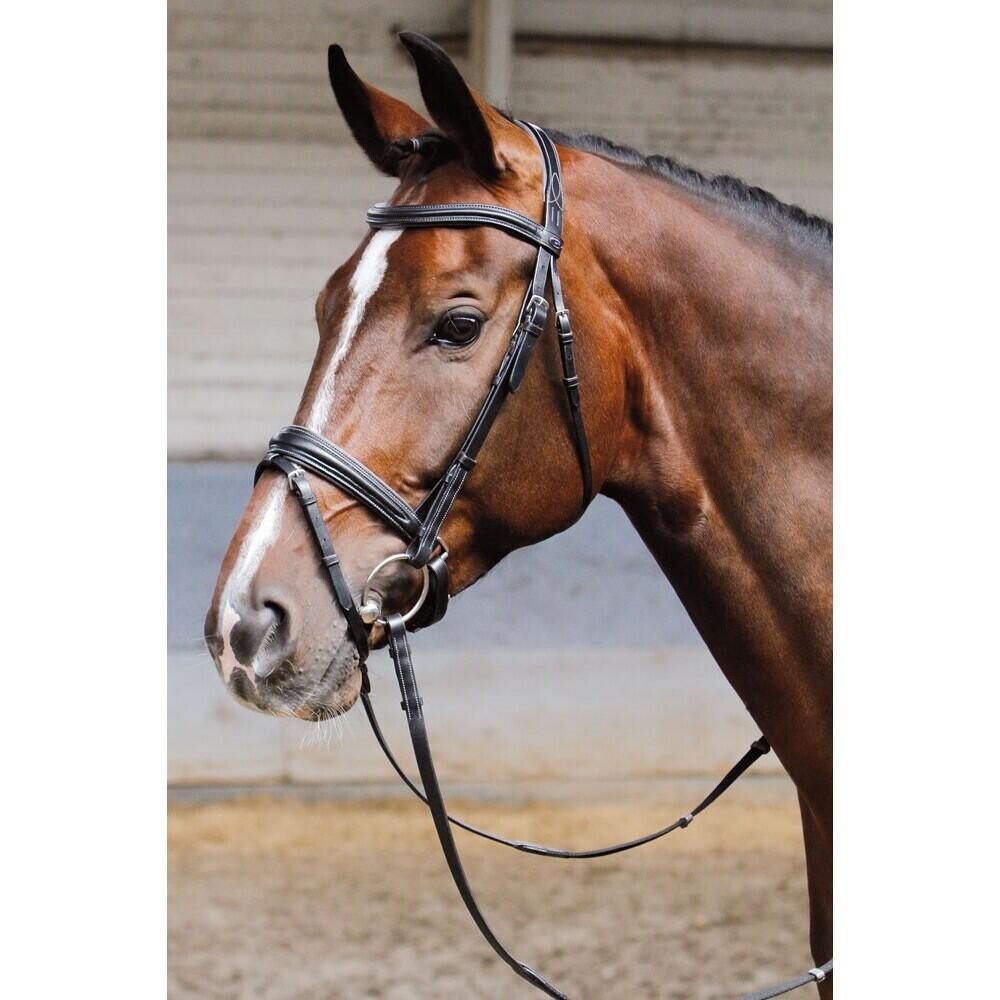 Bridons souple Harry's Horse 2/2