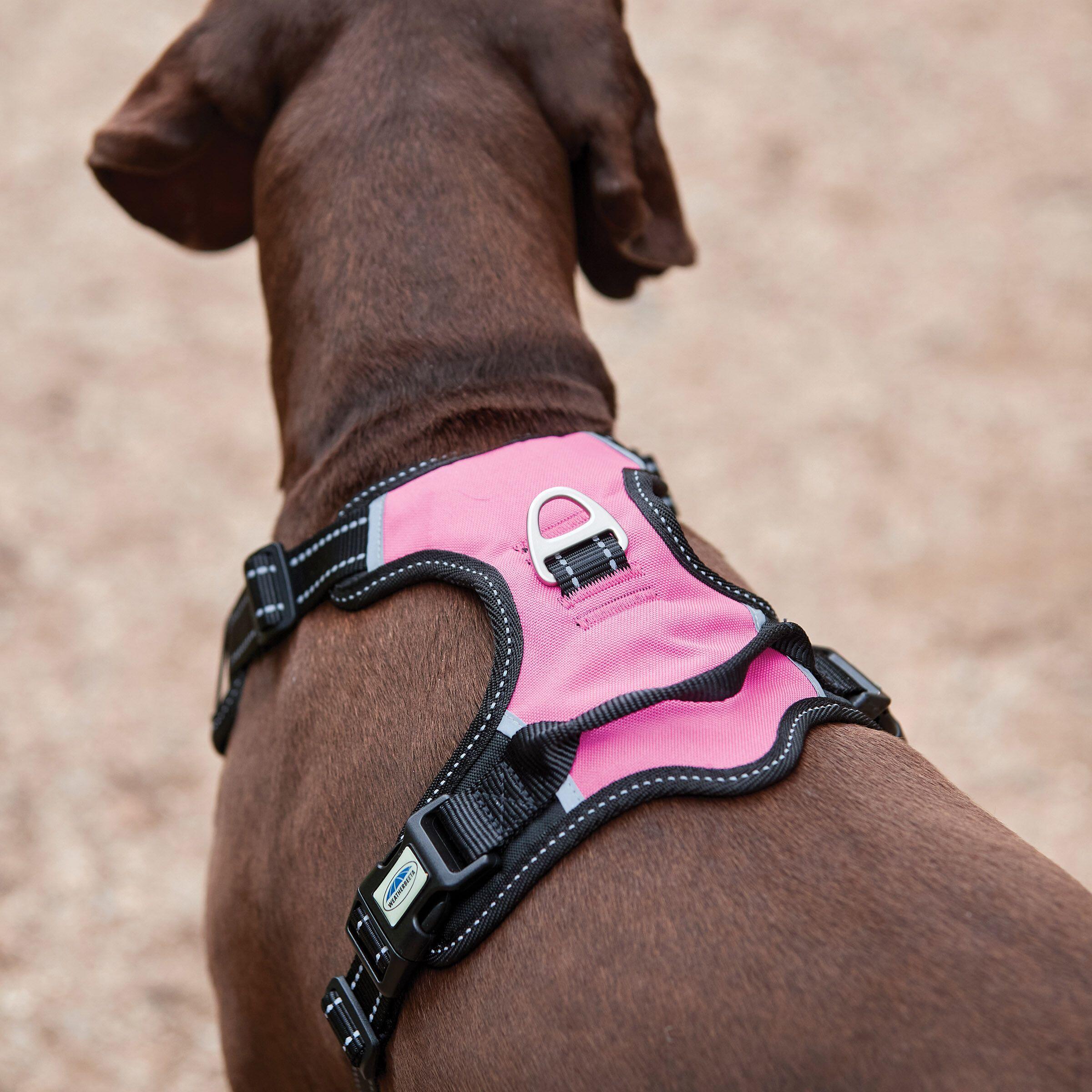 Harnais pour chien de voyage anti-traction Weatherbeeta 5/5