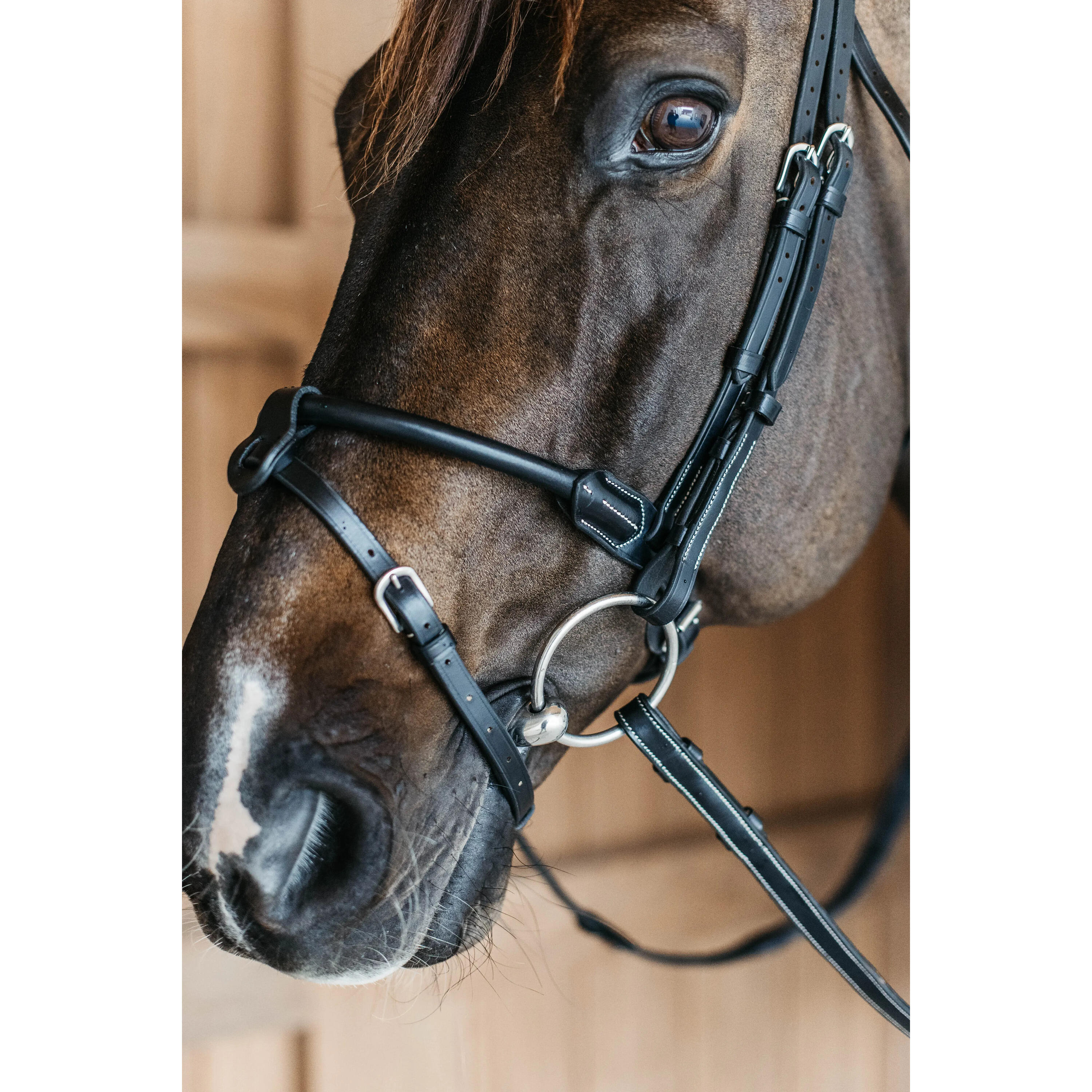 Briglie da equitazione anatomiche rotonde in cuoio Dy'on 3/4