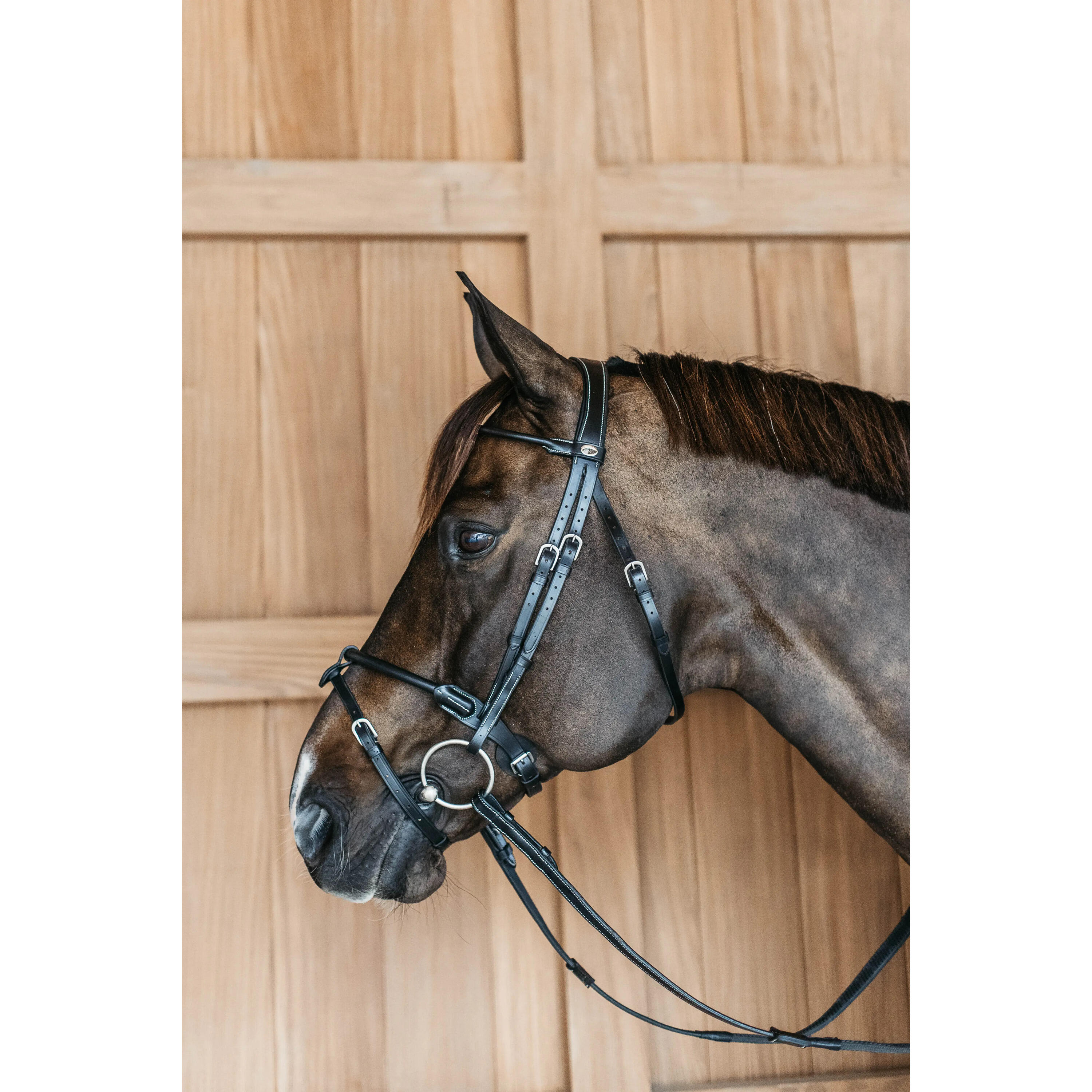 Briglie da equitazione anatomiche rotonde in cuoio Dy'on 2/4