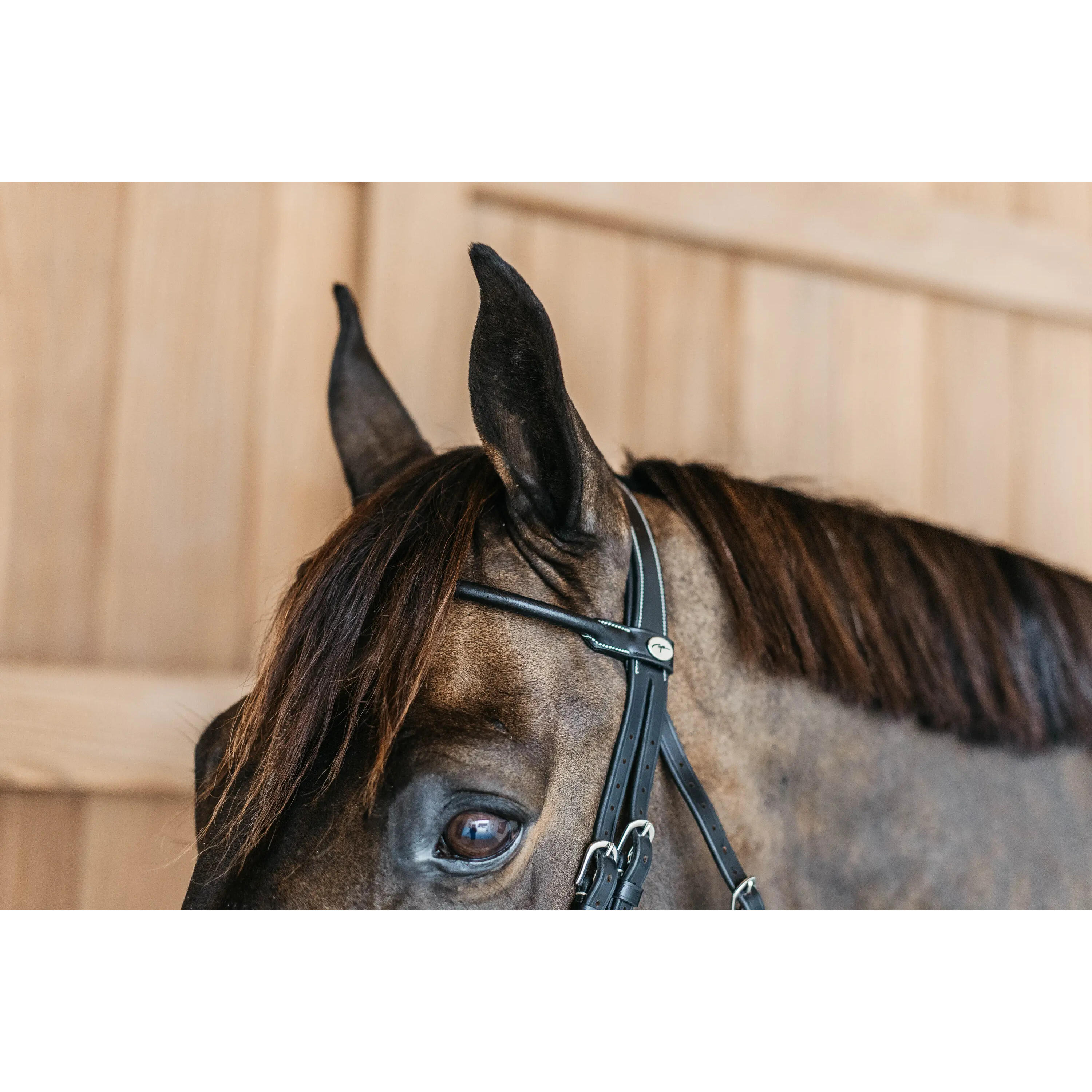 Briglie da equitazione anatomiche rotonde in cuoio Dy'on 4/4