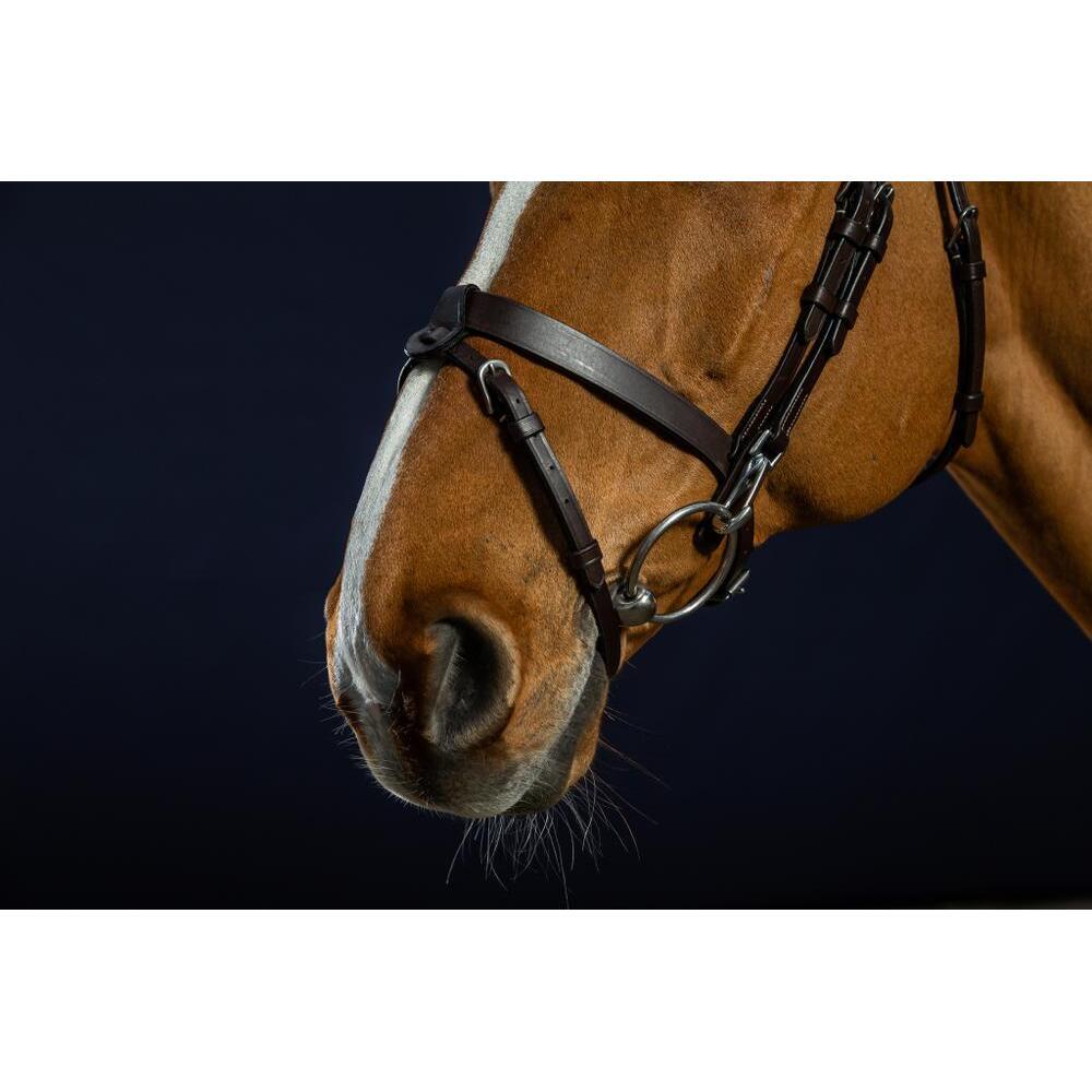 Bridon cuir plat muserolle combinée avec mousquetons Dy'on 3/4