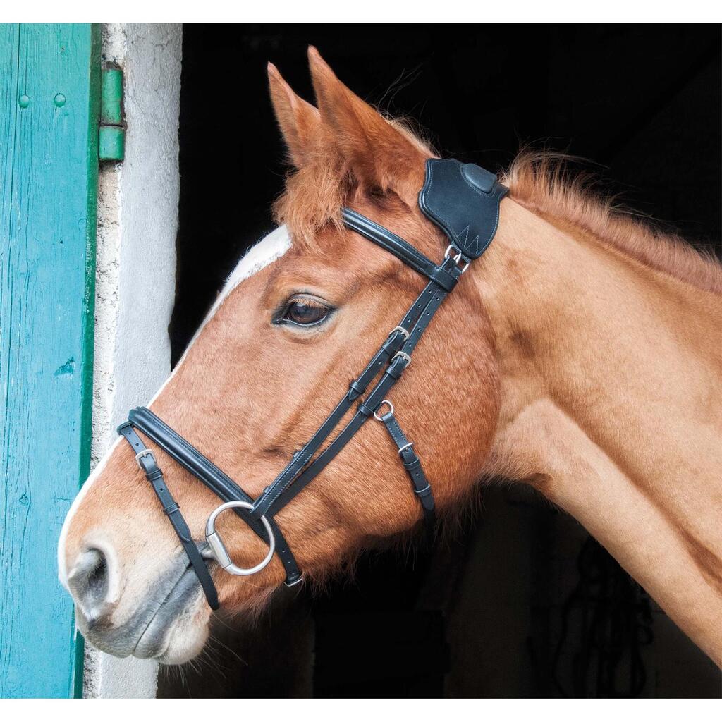 Bridles with bridge T de T Vargas