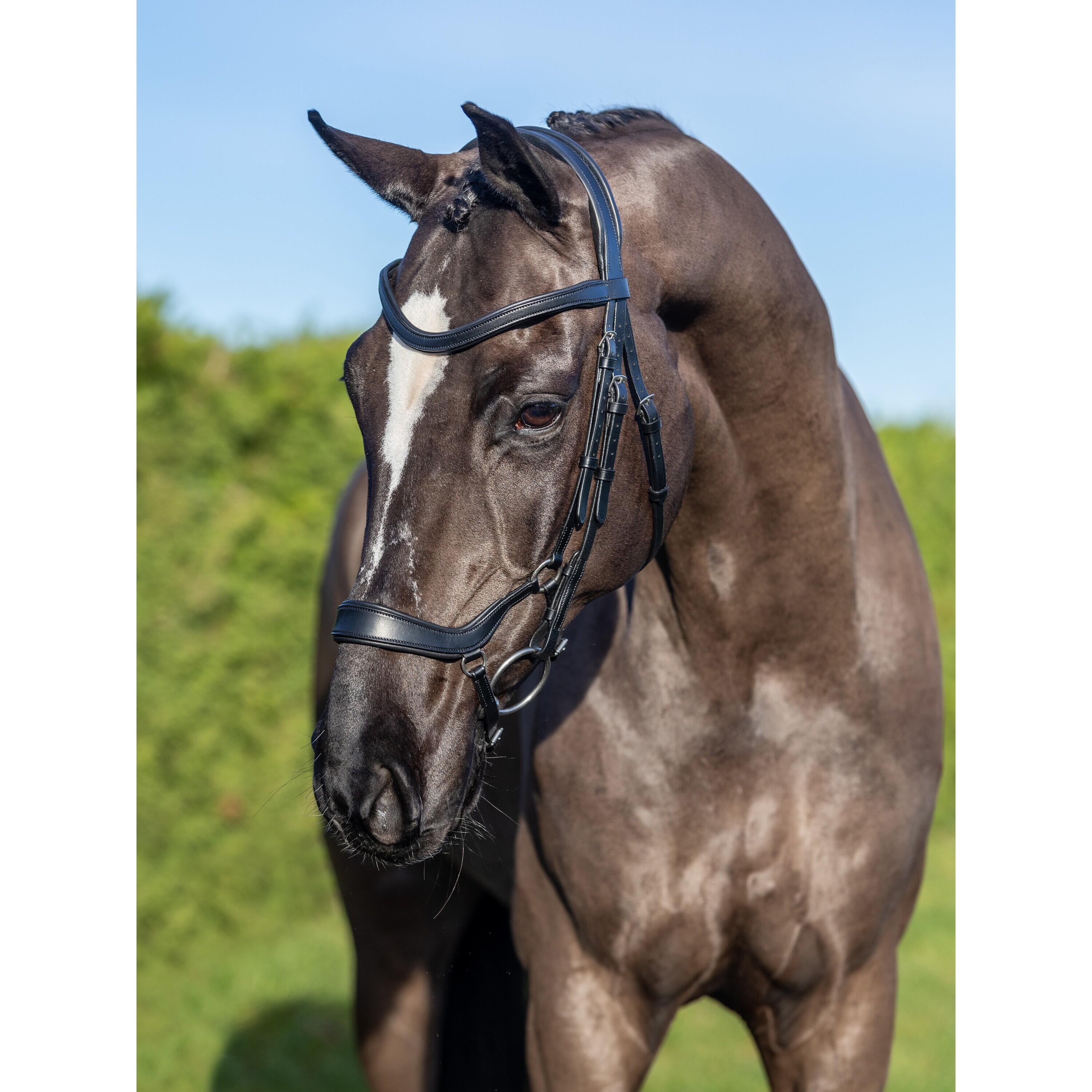 Bridon équitation pour cheval LeMieux Arika Drop 2/7
