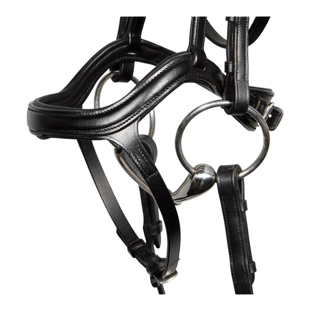 Briglie per cavalli Harry's Horse Anatomic 3/4
