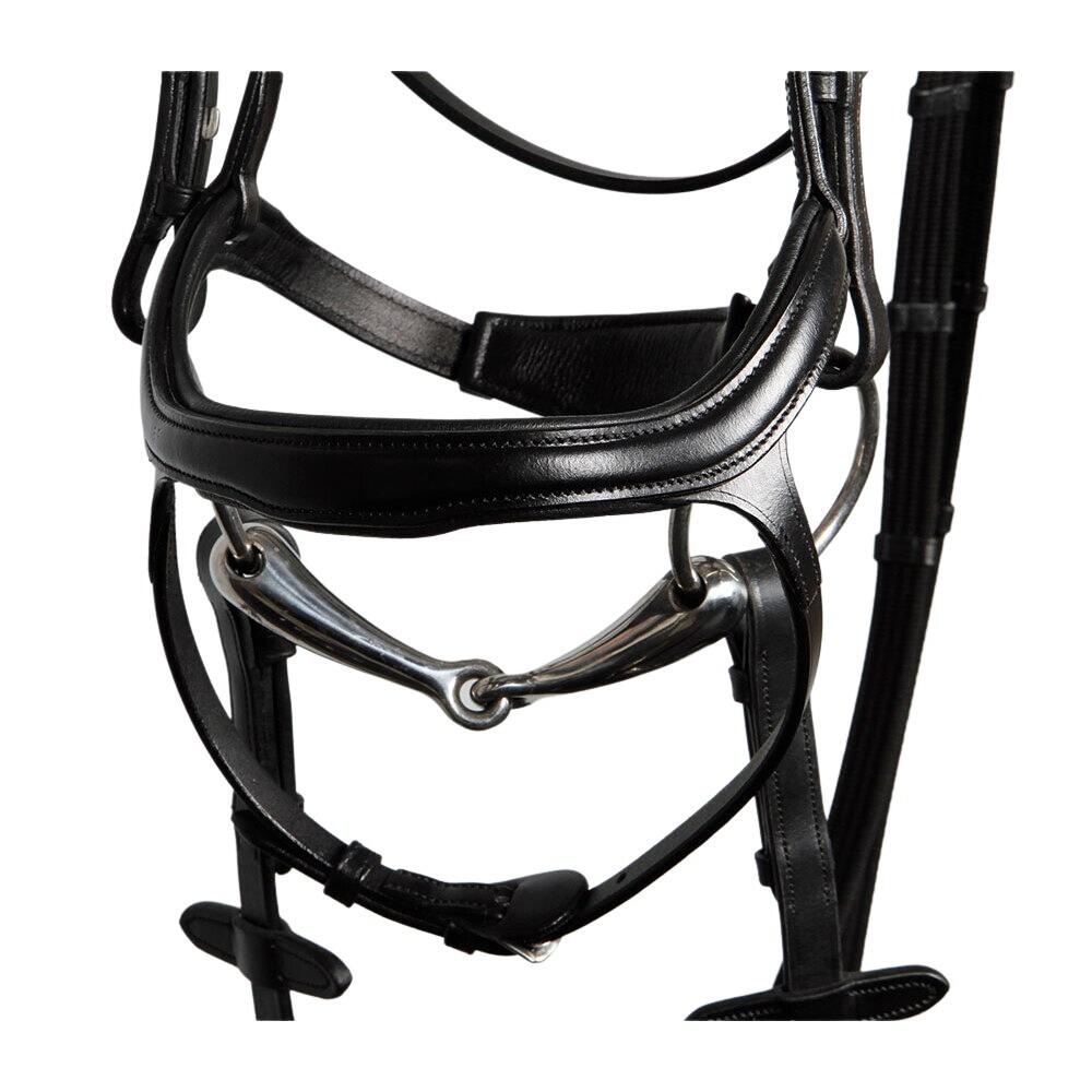 Briglie per cavalli Harry's Horse Anatomic 4/4