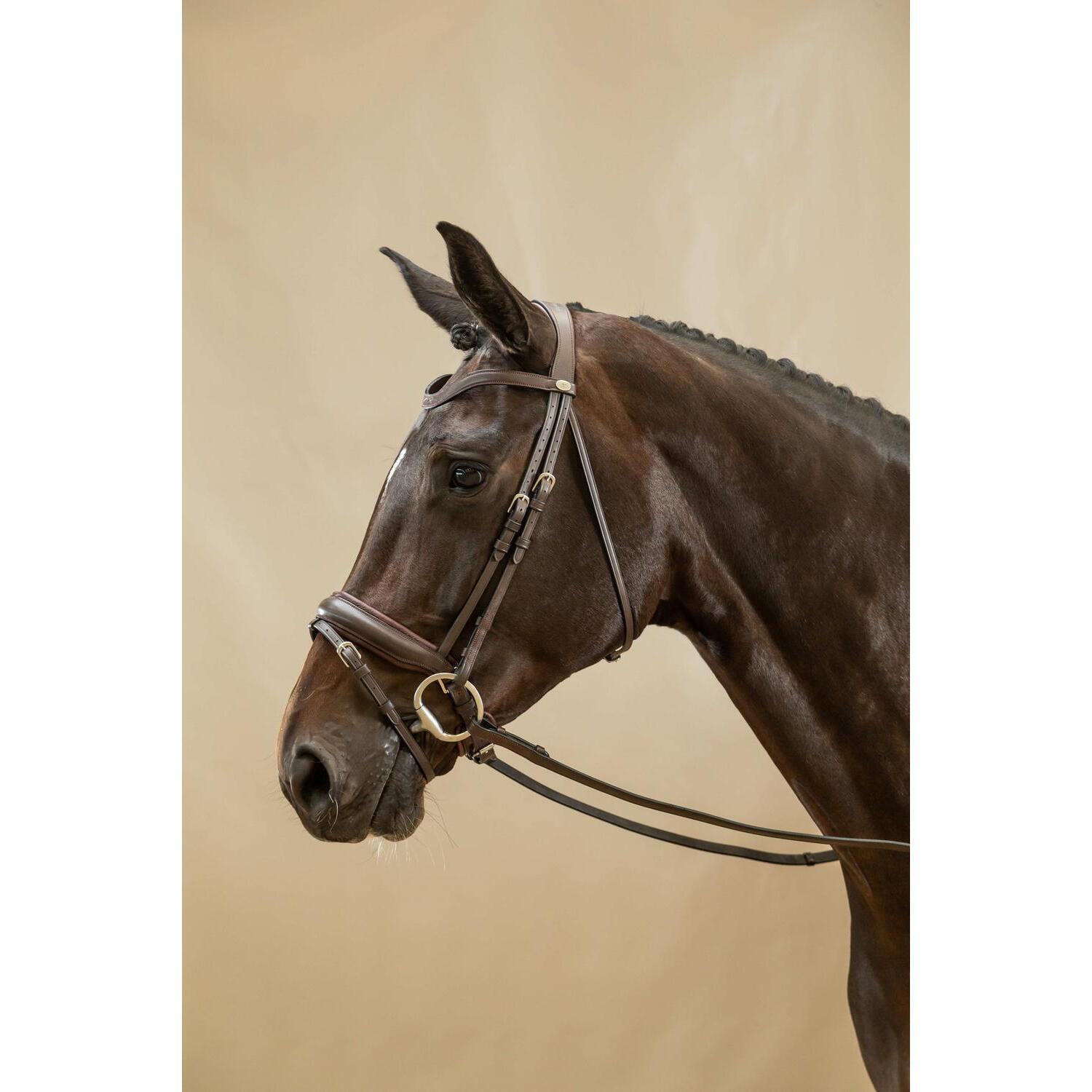 Dy'on large English-combined riding halter