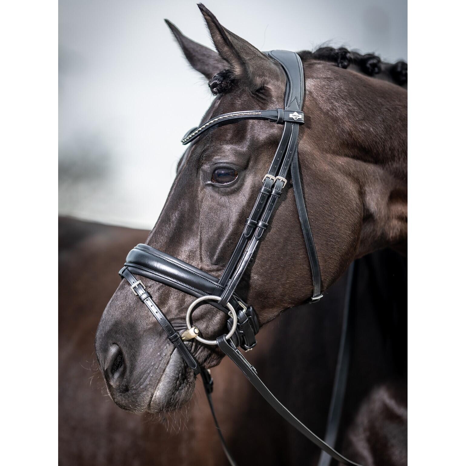 Horse riding bridle LeMieux Classic