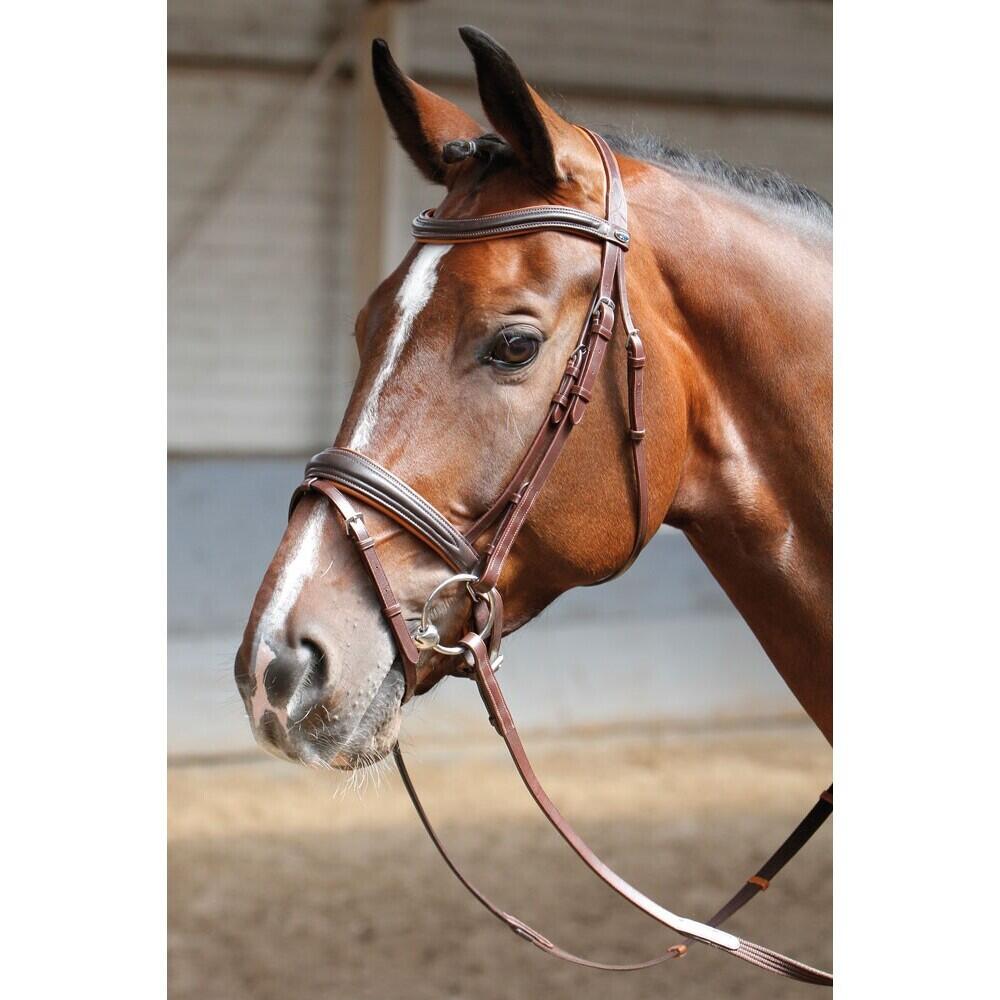 Briglie morbide Harry's Horse 2/2