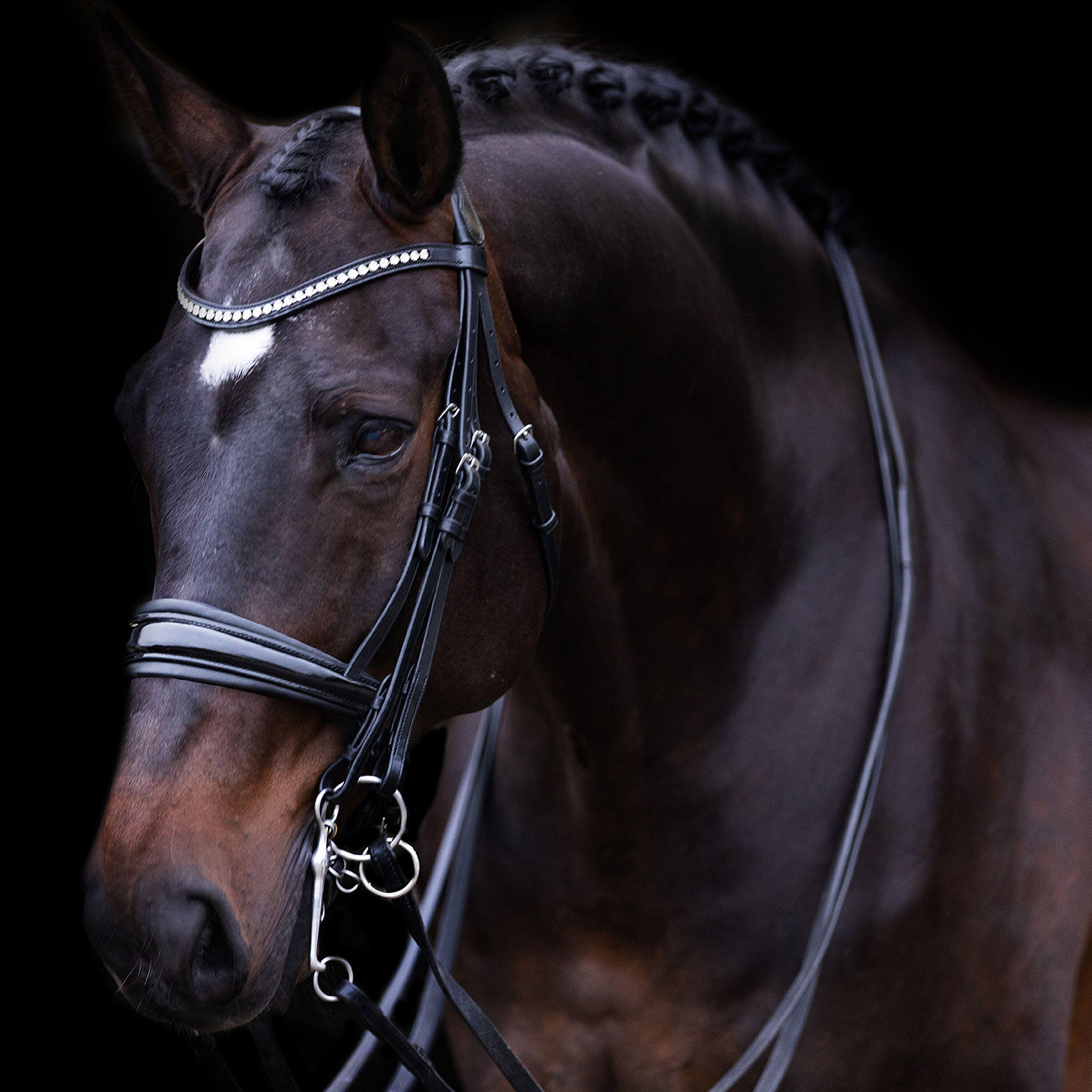 Riding Bridle Imperial Riding Fria