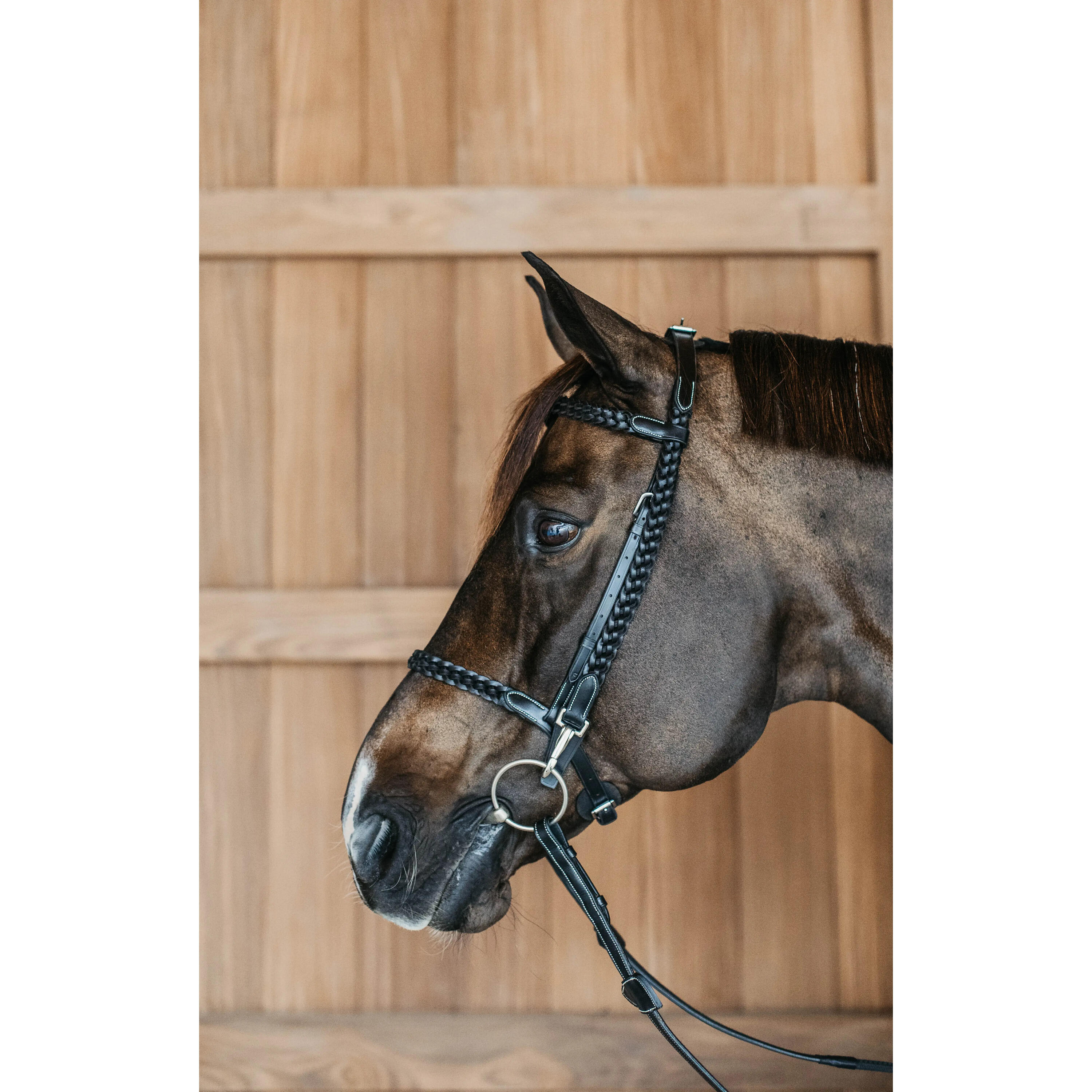 Dy'on braided riding bridles