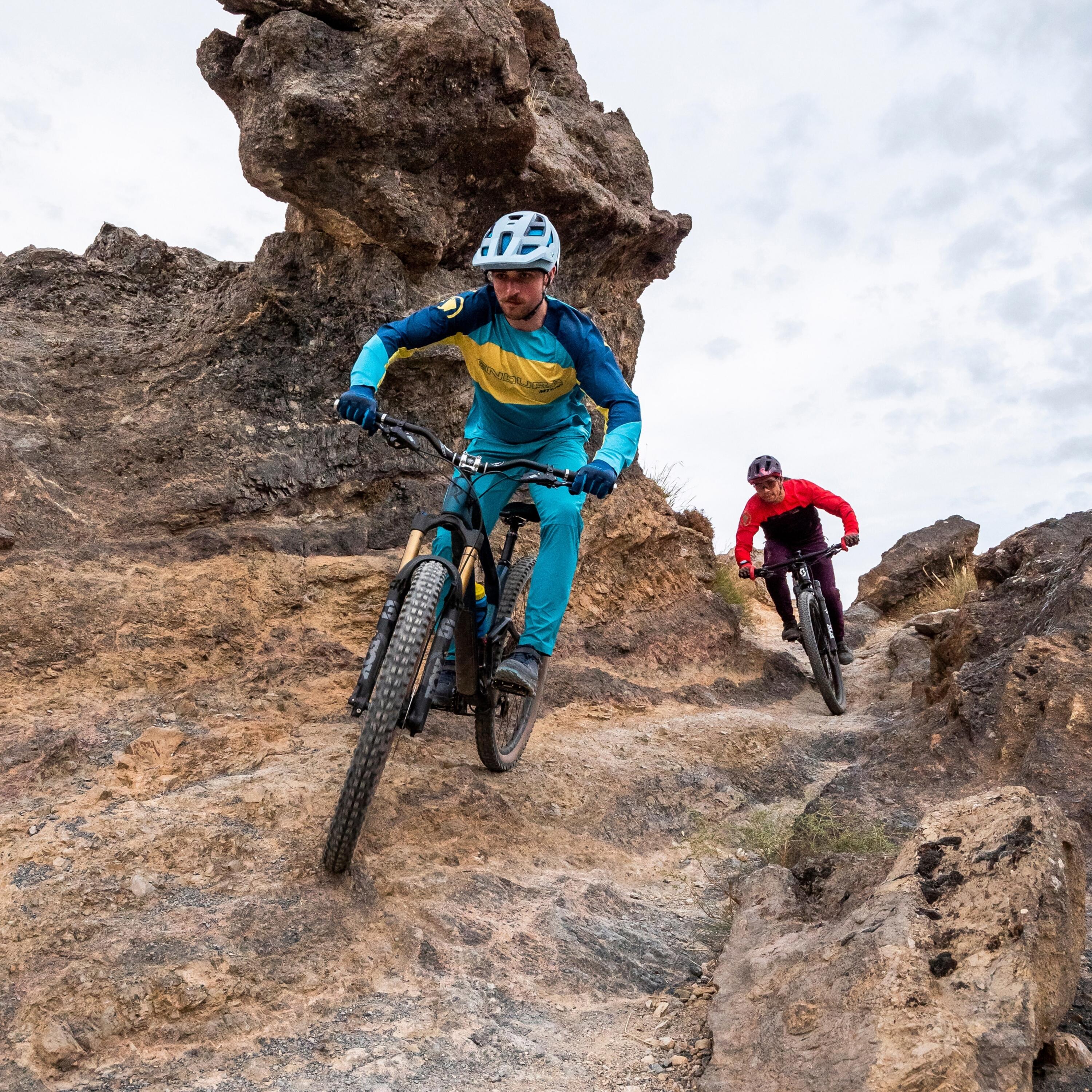 Endura MT500 LTD Blueberry Long Sleeve Jersey 5/6