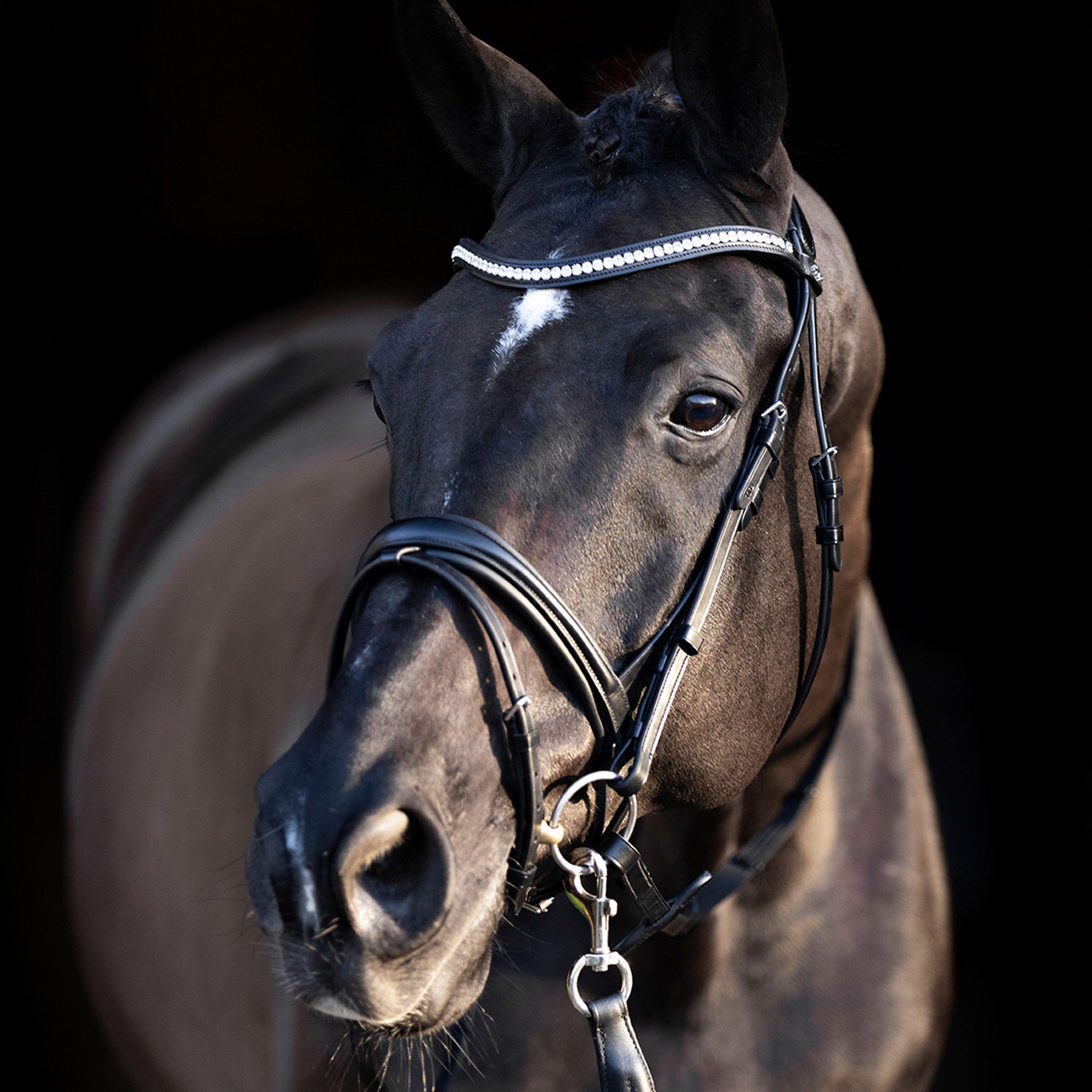 Bridles HV Polo Legacy deluxe 2/5
