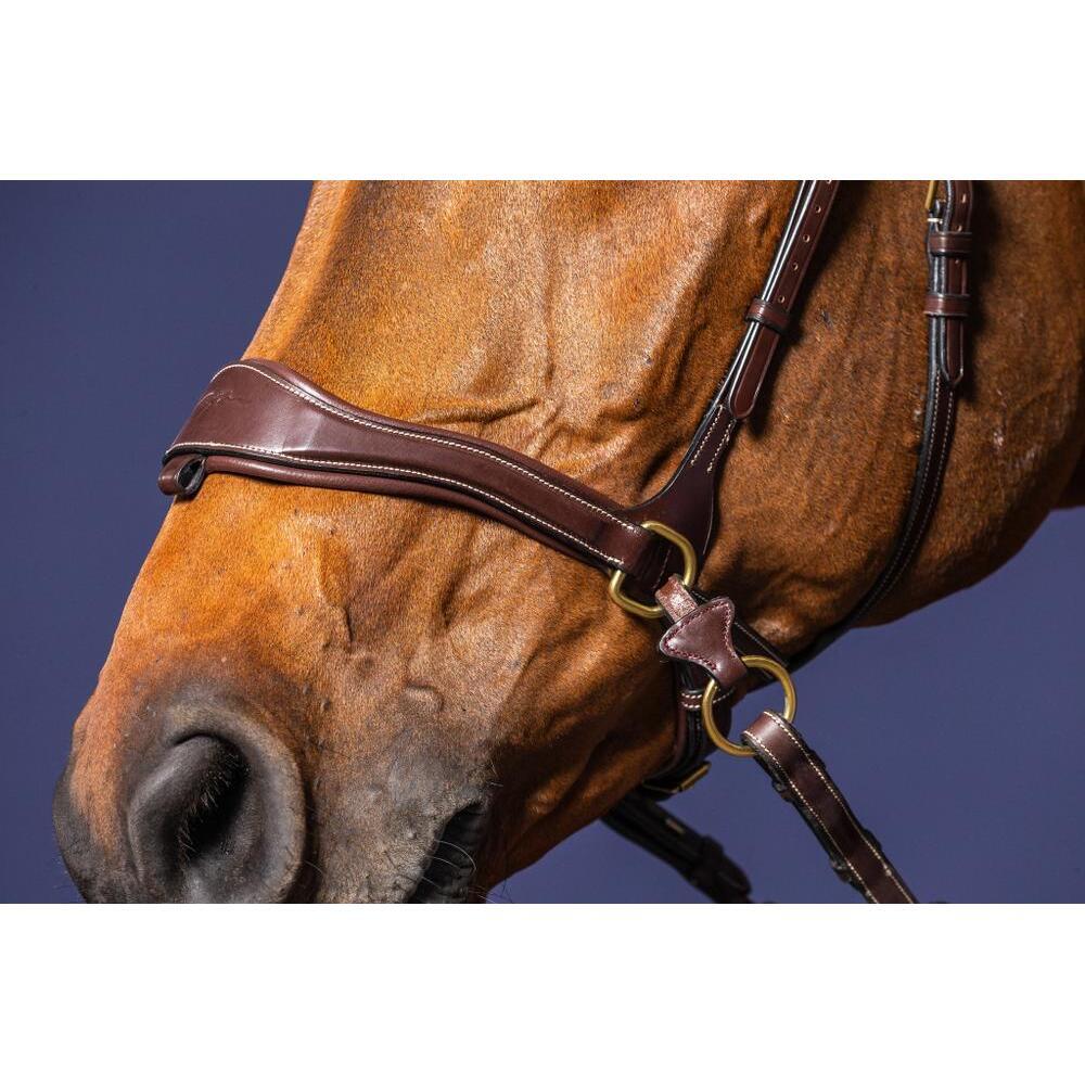 Bridle D motion gecombineerde neusriem Dy'on 6/7