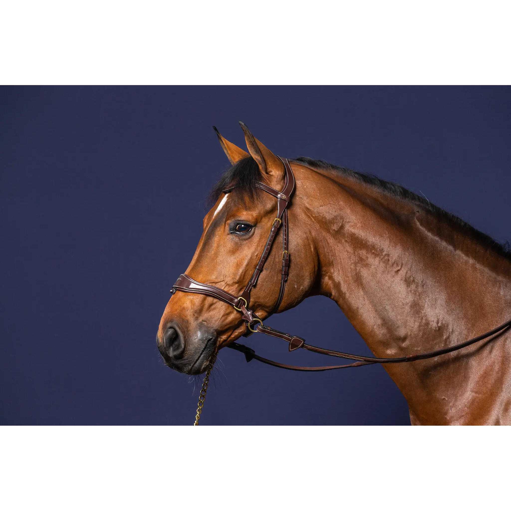 Bridle D motion gecombineerde neusriem Dy'on 5/7