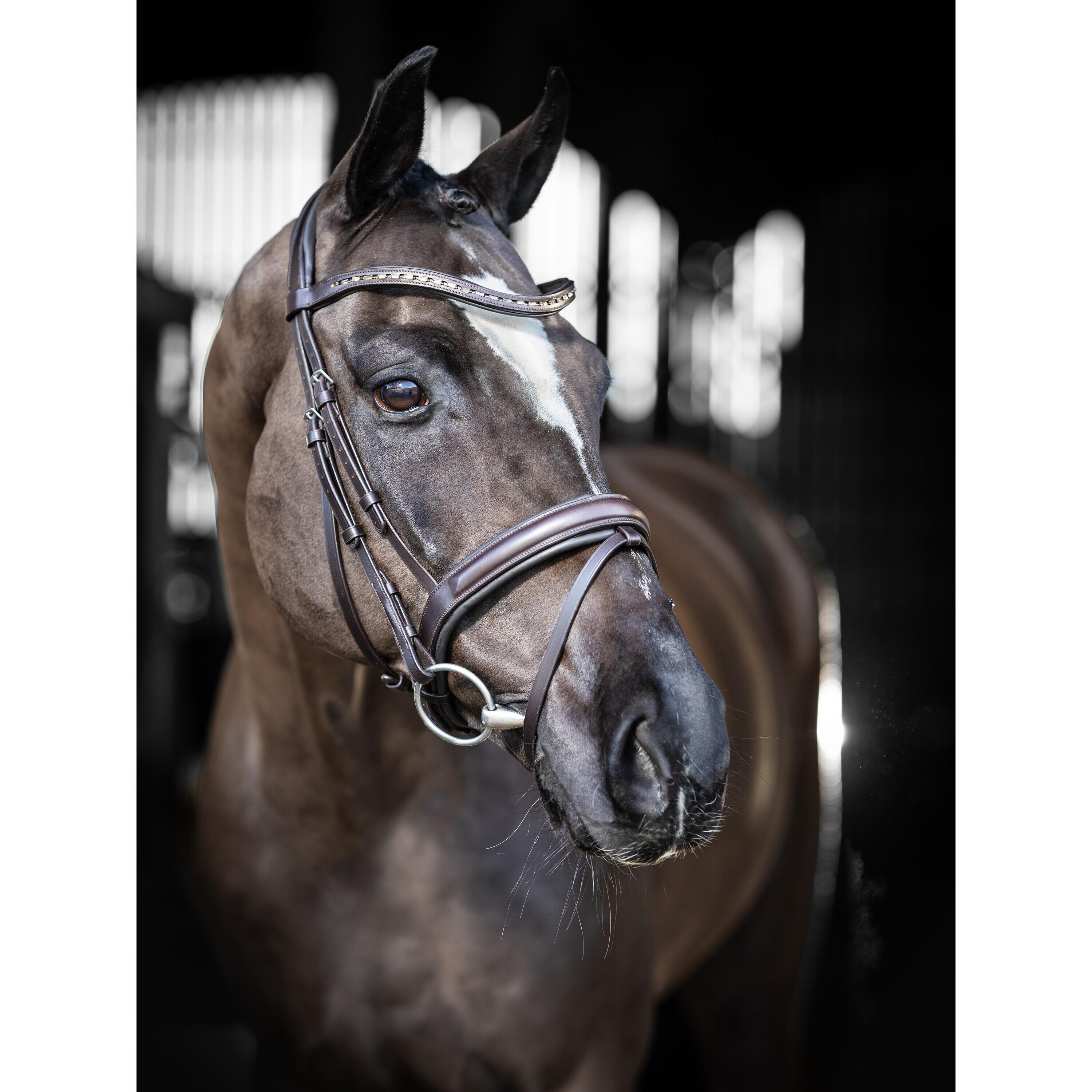 Bridle for dressage horses LeMieux Arika