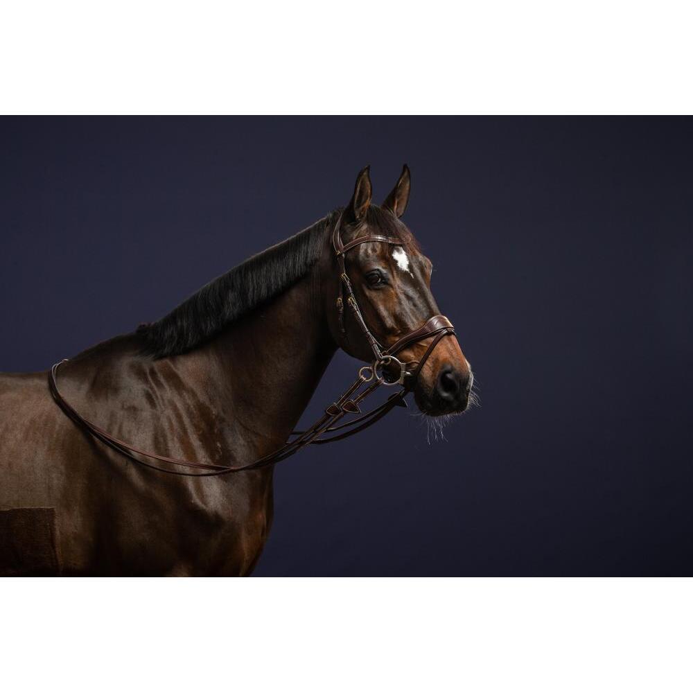 Bridle D motion gecombineerde neusriem Dy'on 7/7