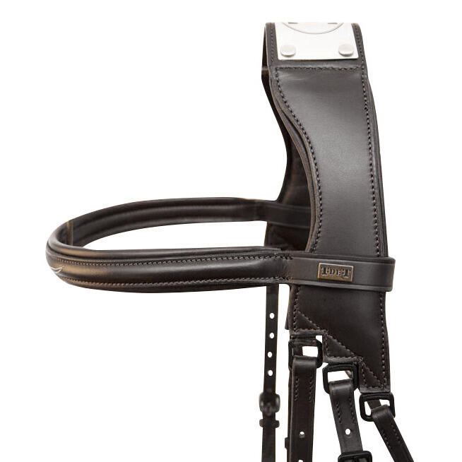Bridles with bridge T de T Raphaël