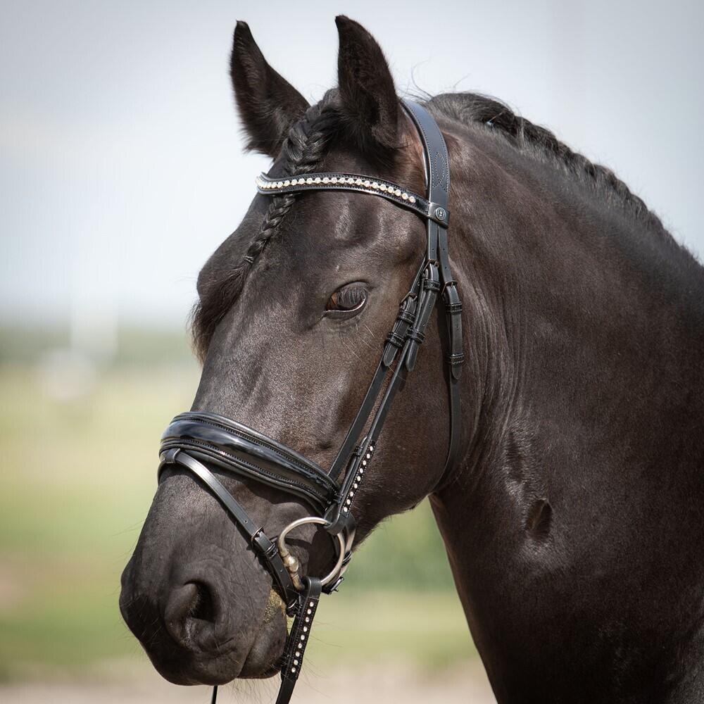 Briglia anatomica da equitazione Harry's Horse Diamond Lacque 3/3