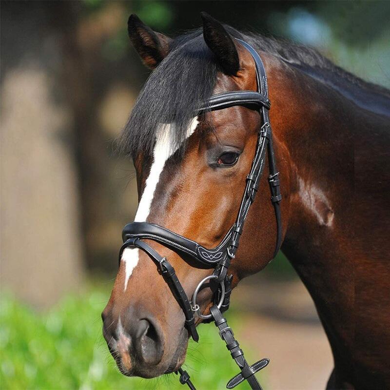 Bridons pour cheval Kavalkade Ivy