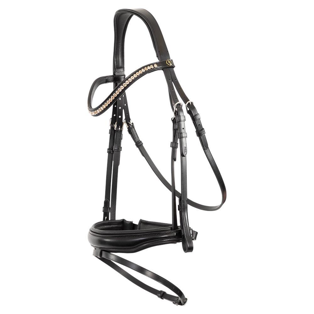BR Hoofdstellen BR Equitation Oldham