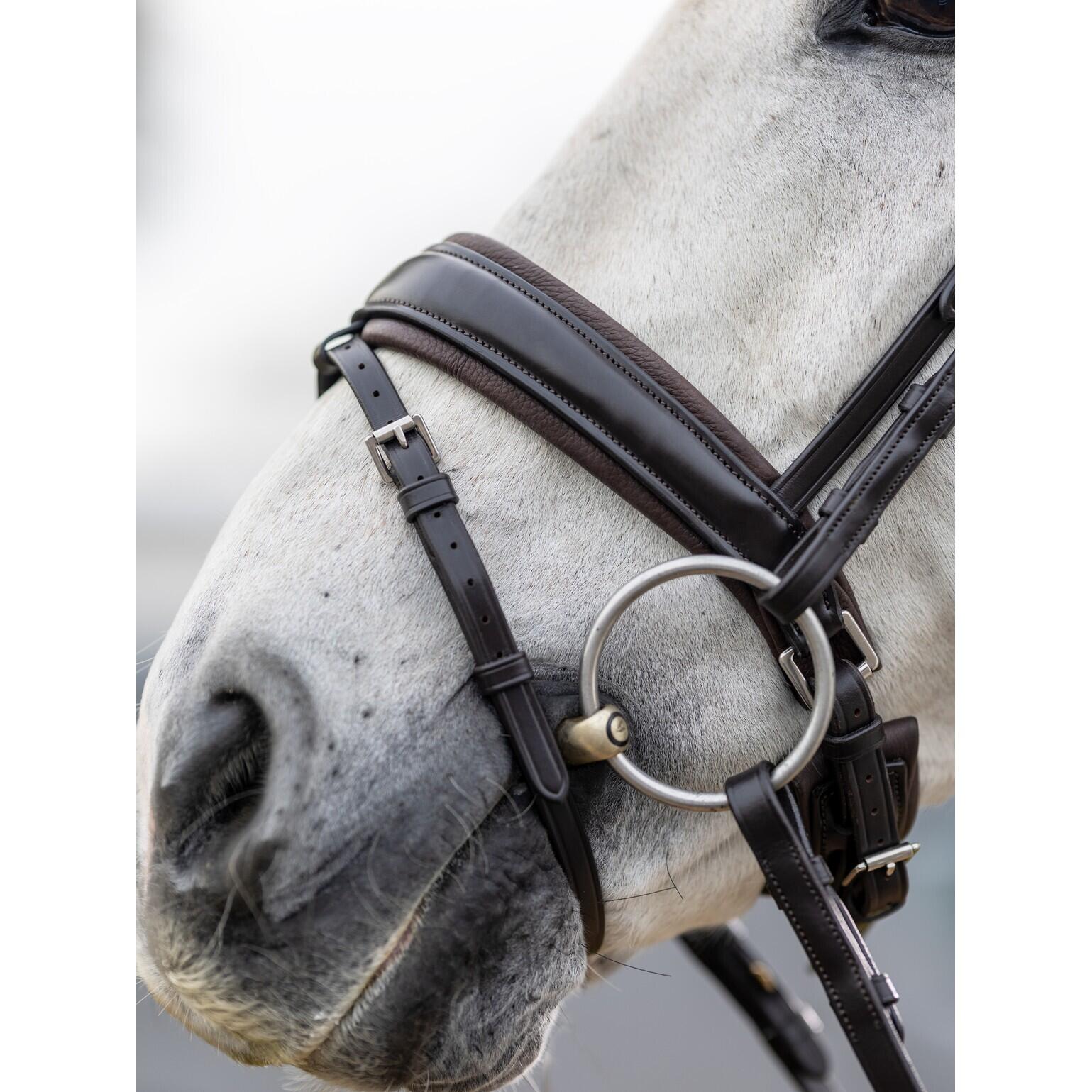 Hoofdstel voor paarden LeMieux Classic 4/5