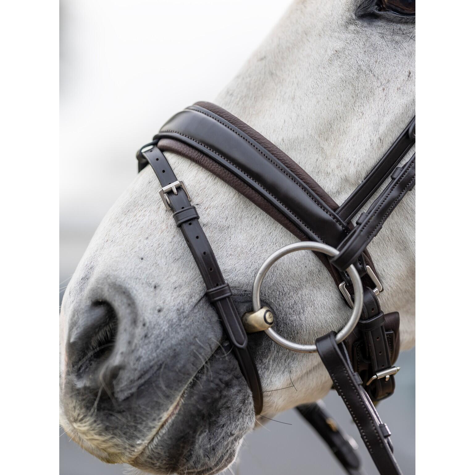 Horse riding bridle LeMieux Classic