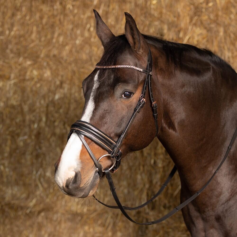 Bridons large Harry's Horse Rosegold 5/5