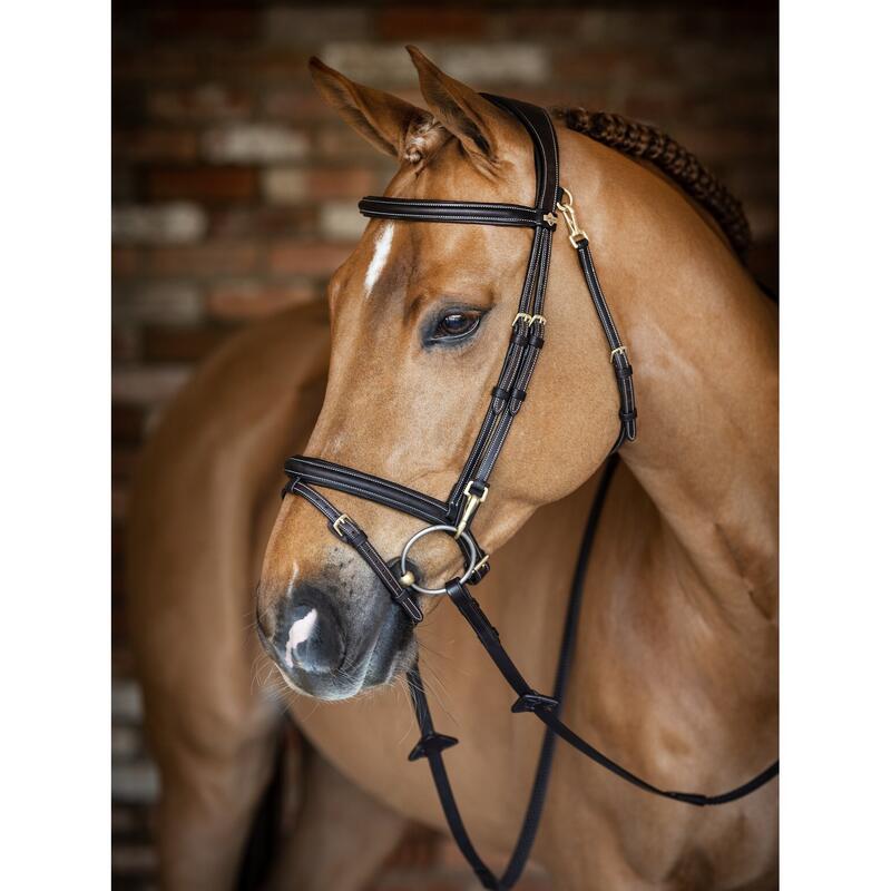 Bridon équitation pour cheval LeMieux Work